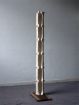 Spine column